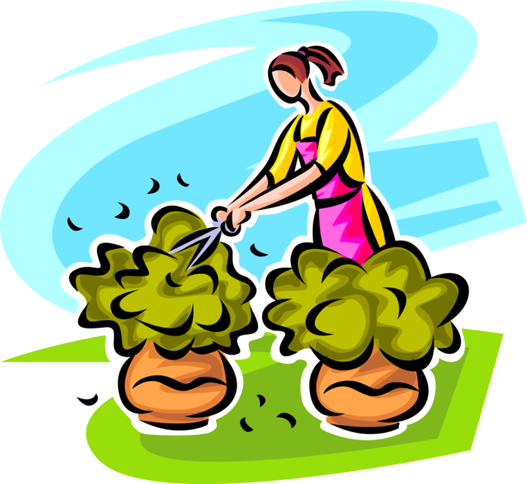 Vector Illustration of Gardener Prunes Garden Shrubs with Pruning Shears