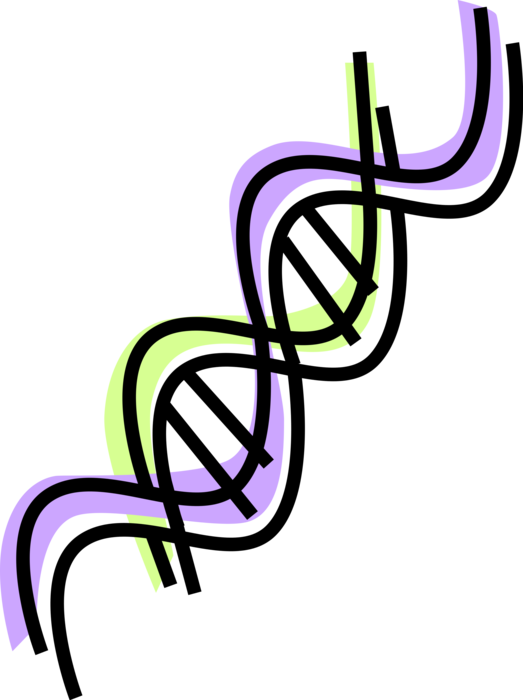 Vector Illustration of Double Helix DNA Deoxyribonucleic Acid Molecule Carries Genetic Instructions