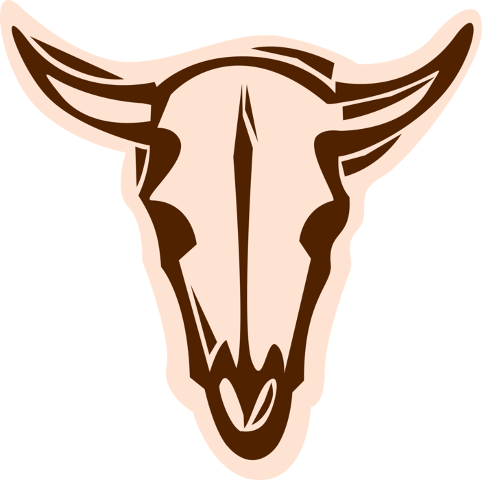 Vector Illustration of Cattle Cow Steer Skull with Horns