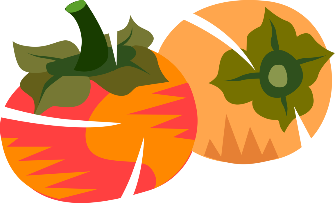 Vector Illustration of Persimmon Astringent, Plumlike Sweet Fruit