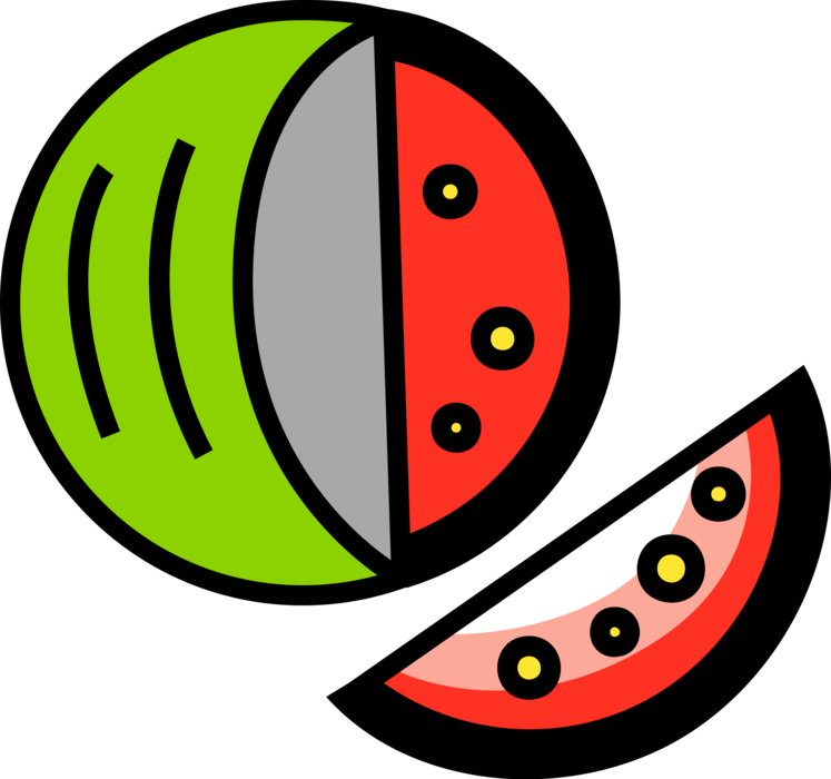 Vector Illustration of Watermelon Fruit Melon with Slice