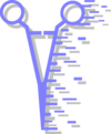 1nosdtph6w vc053555