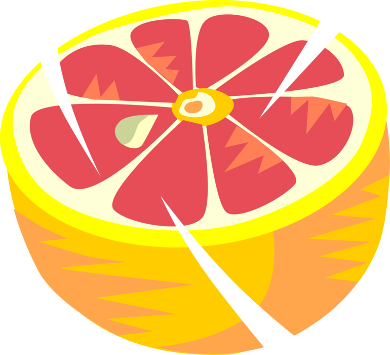 Vector Illustration of Sliced Grapefruit Fruit