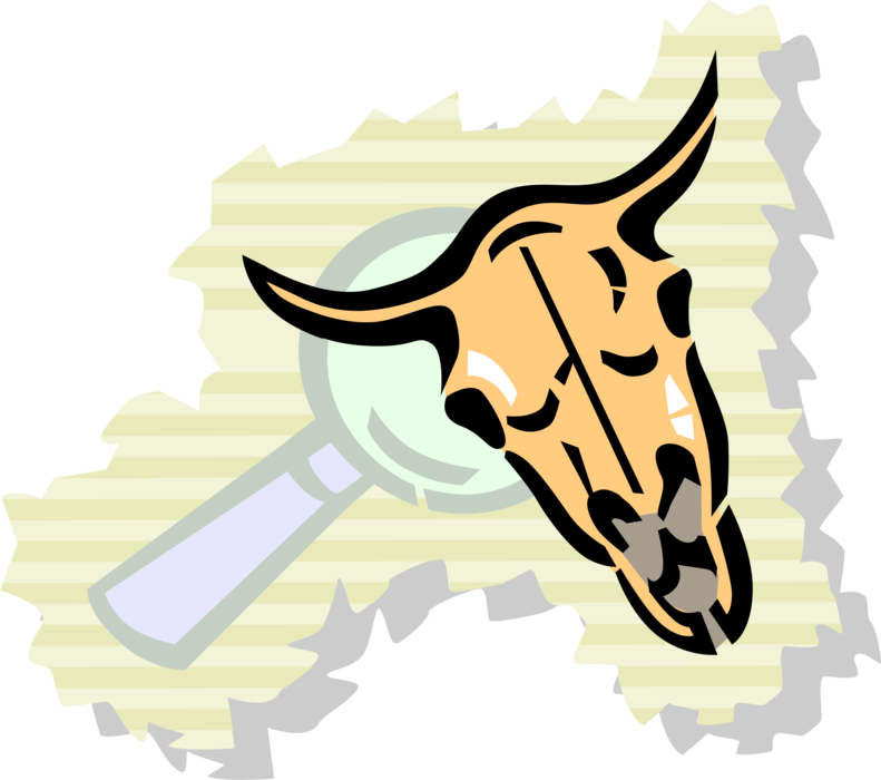 Vector Illustration of Cow Steer Skeleton Head and Archeology Magnifying Glass