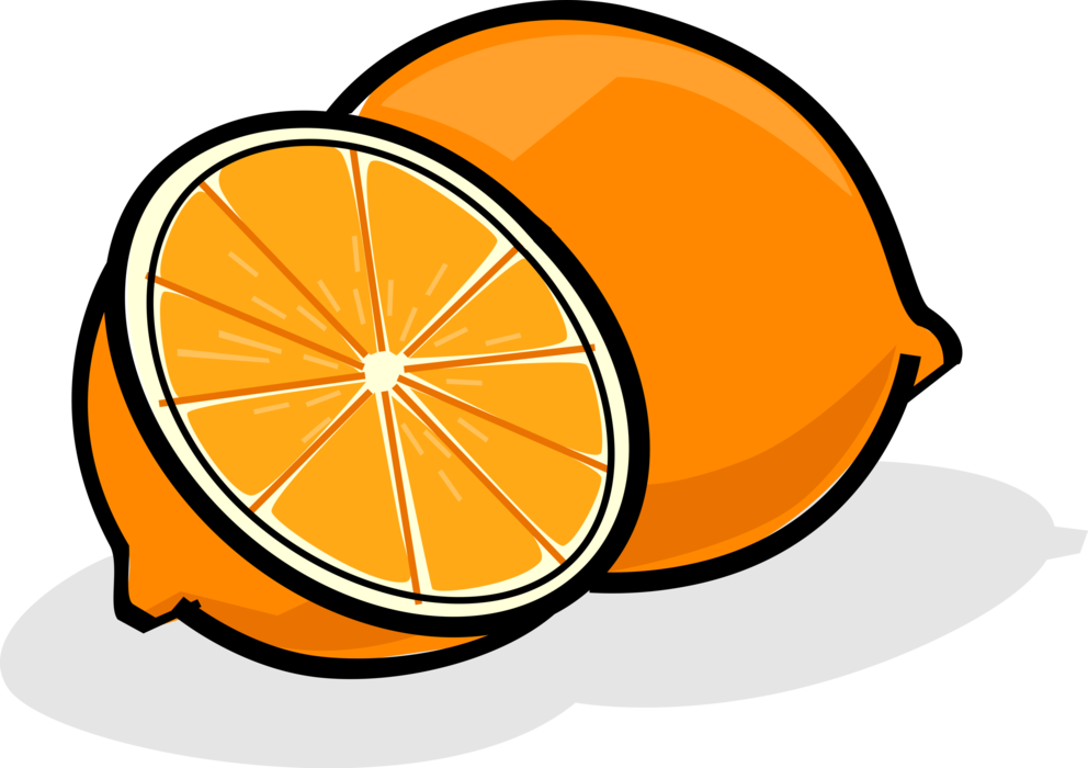 Vector Illustration of Sliced Citrus Orange Fruit