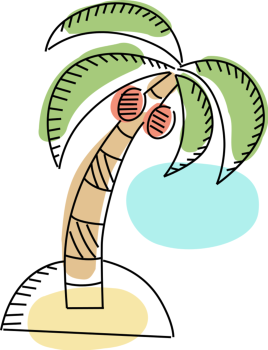 Vector Illustration of Arecaceae Palm Tree with Coconuts on Deserted Tropical Island