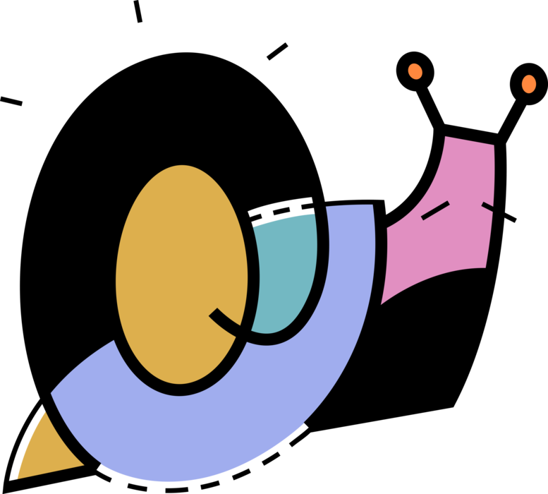 Vector Illustration of Snail or Terrestrial Gastropod Mollusks