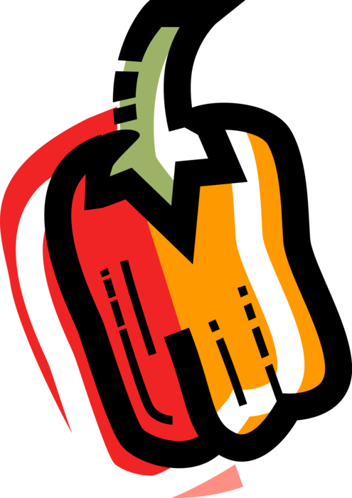 Vector Illustration of Pepper Capsicum Bell Pepper