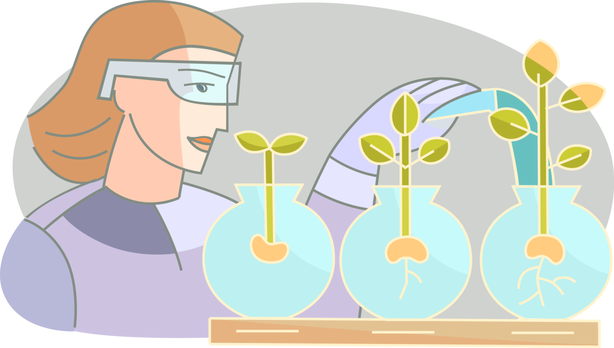 Vector Illustration of Plant Science or Plant Biology Botany Studies Species of Living Organisms in Environment