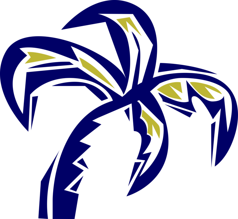 Vector Illustration of Tropical or Subtropical Palm Tree