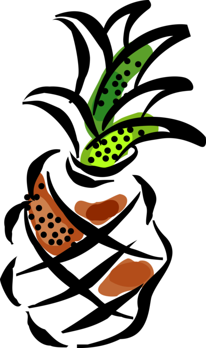 Vector Illustration of Tropical Plant Pineapple Fruit Food