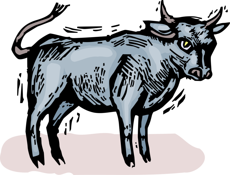 Vector Illustration of Spanish Bullfighting Bull with Horns, Spain