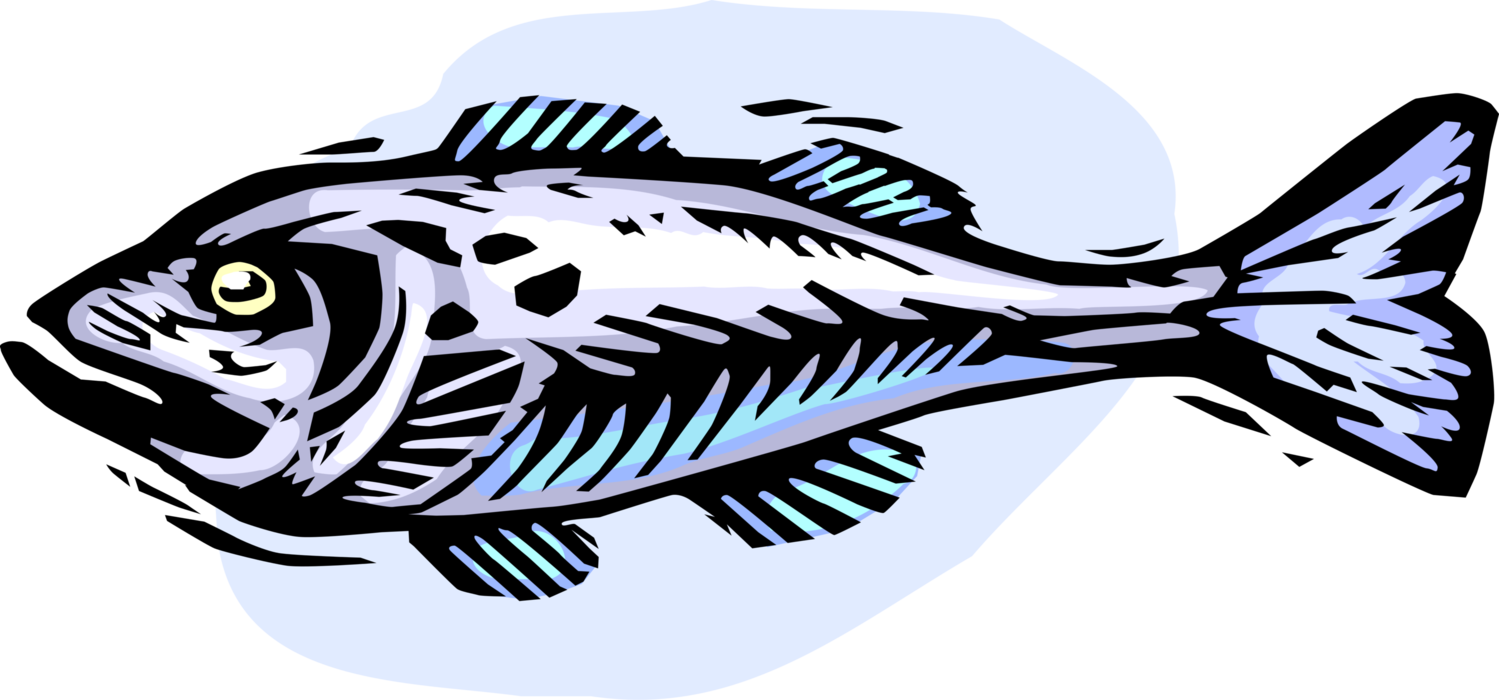 Vector Illustration of Marine Aquatic Fish