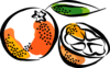 1wyv0xgbhf vc070274