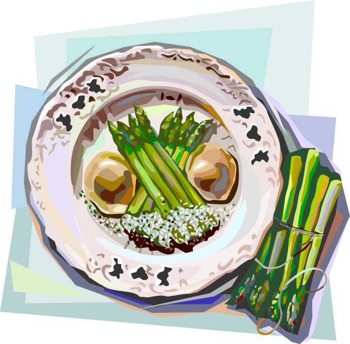 Vector Illustration of French Culinary Cuisine Asparagus Meal