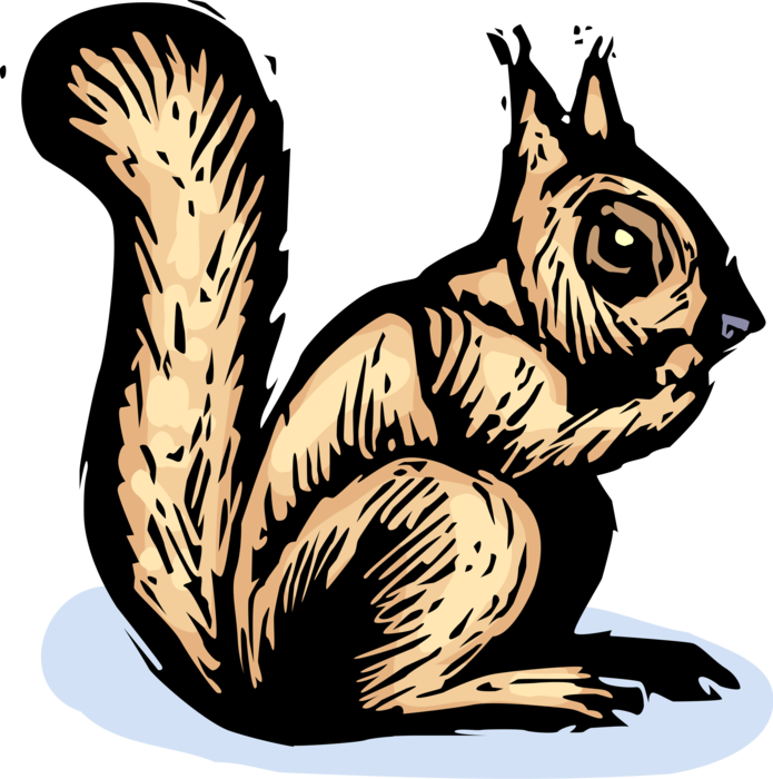 Vector Illustration of Arboreal, Bushy-Tailed Rodent Squirrel Eats Nut