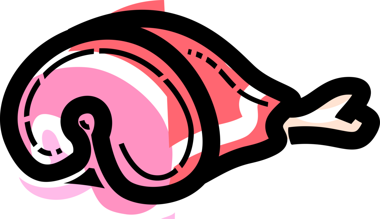 Vector Illustration of Pork Fresh Leg of Ham Meat with Bone