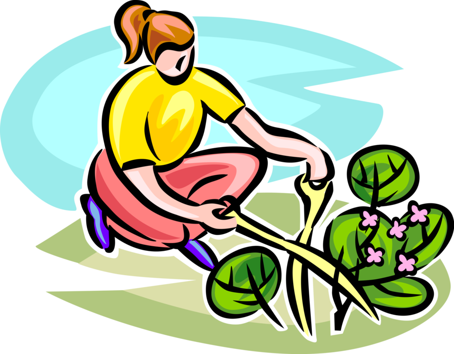 Vector Illustration of Gardener with Pruning Shears Prunes Branches on Garden Plant Shrubs