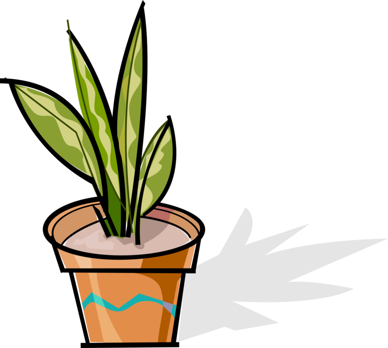 Vector Illustration of Potted Houseplant Plant Leaves in Clay Pot