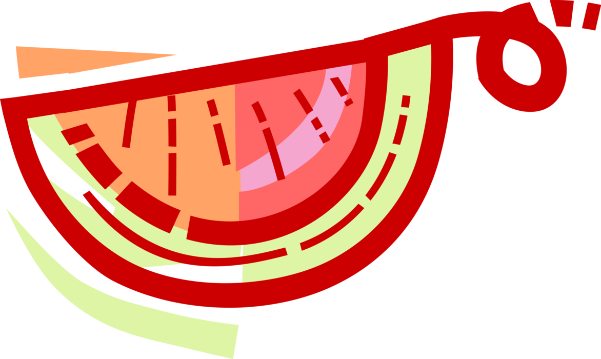 Vector Illustration of Watermelon Fruit Melon Slice