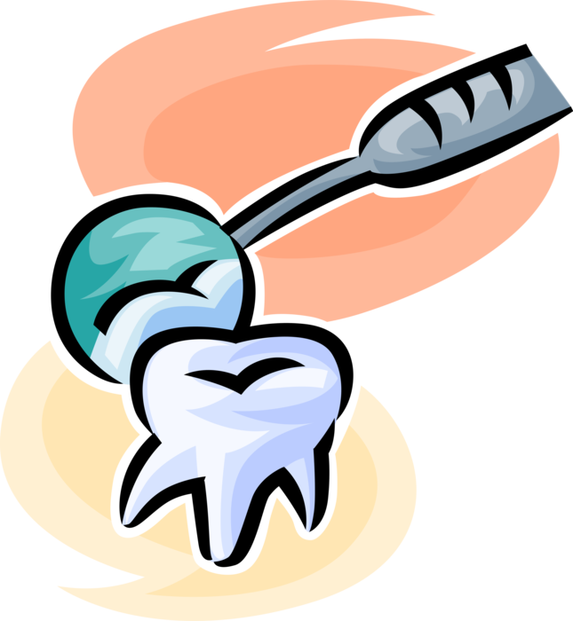 Vector Illustration of Molar Tooth and Dentist's Dental Mirror Tool