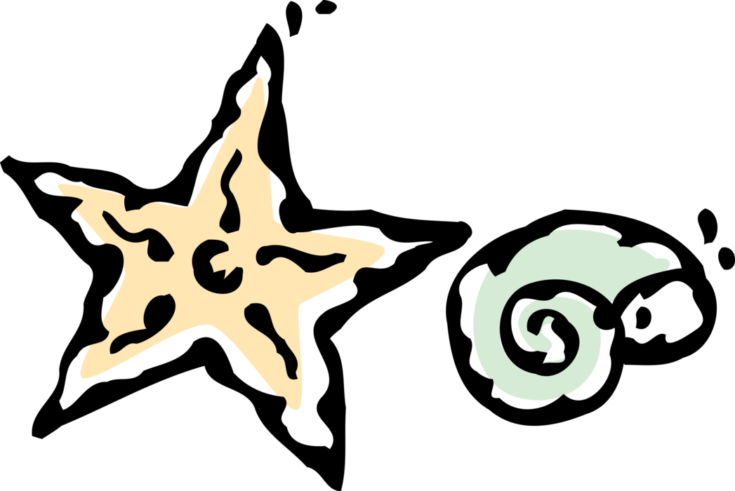 Vector Illustration of Marine Aquatic Mollusk Seashell and Invertebrate Starfish