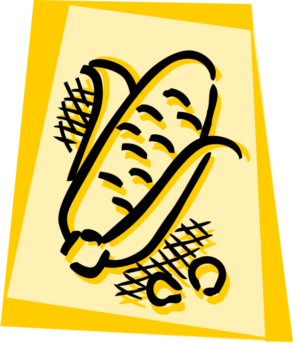 Vector Illustration of Corn Maize Grain Plant Cob Husk with Kernels