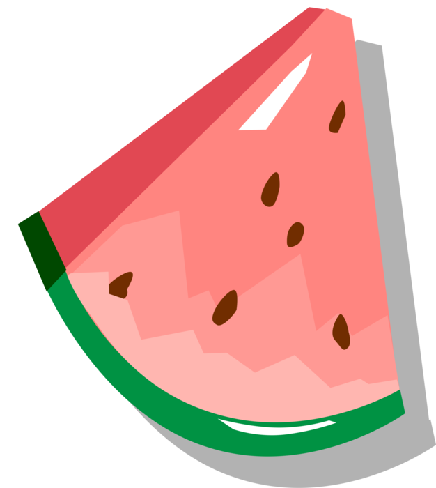 Vector Illustration of Watermelon Fruit Melon
