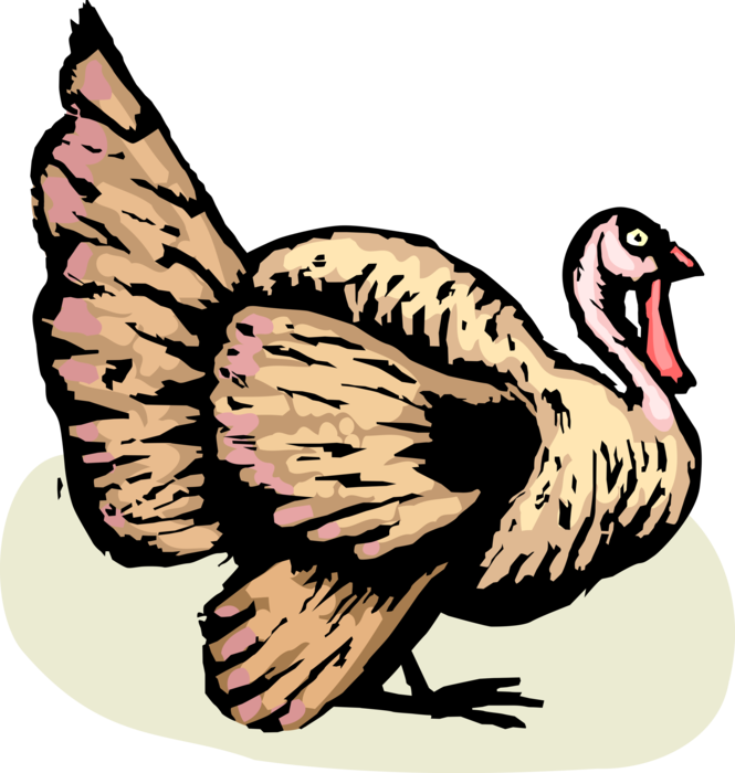 Vector Illustration of Wild Turkey on Traditional Christmas and Thanksgiving Dinner Menus