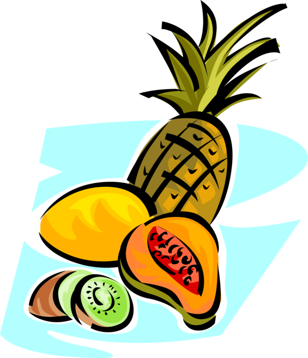Vector Illustration of Pineapple, Mango, Papaya and Kiwi Fruits