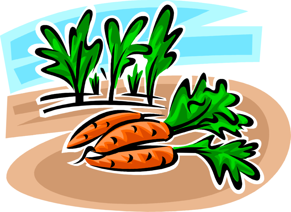 Vector Illustration of Garden Root Vegetable Carrot Contains Carotenoids for Vision and Eye Health