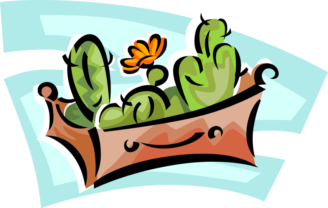 Vector Illustration of Flowering Cactus Plants Growing in Flower Planter Box