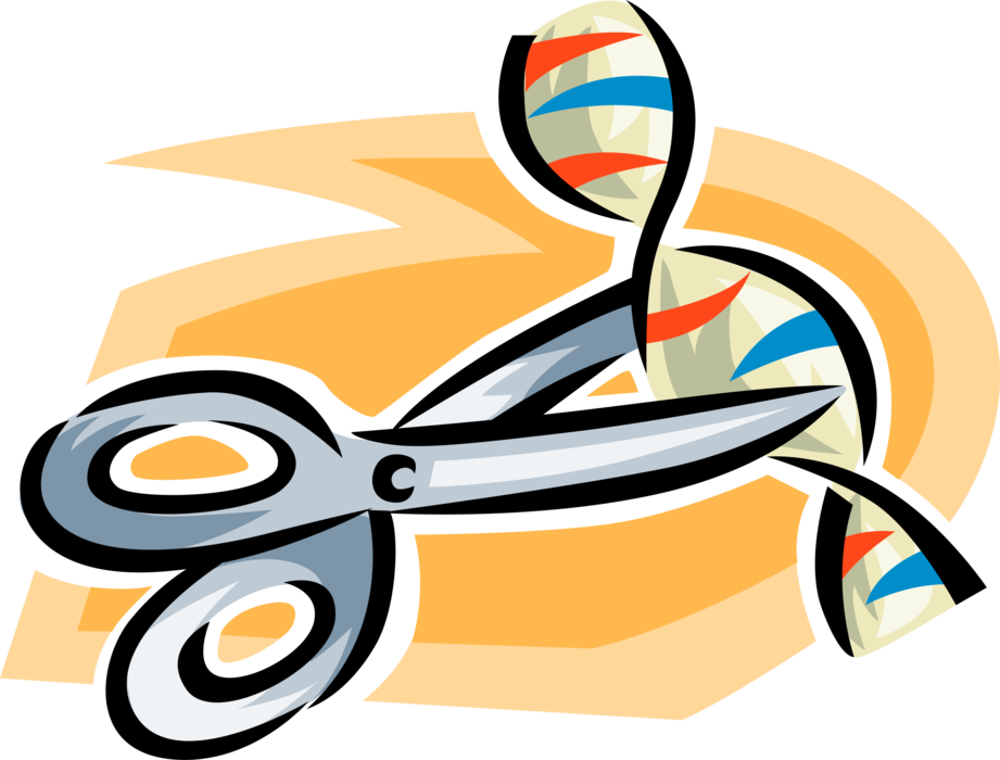 Vector Illustration of Scissors Cut Double Helix DNA Deoxyribonucleic Acid Molecule Carries Genetic Instructions