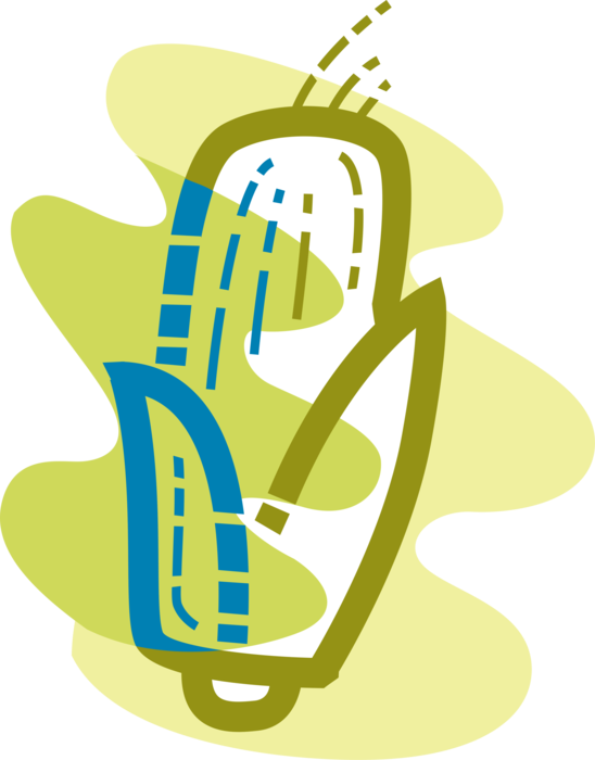 Vector Illustration of Ear of Corn Maize Husk