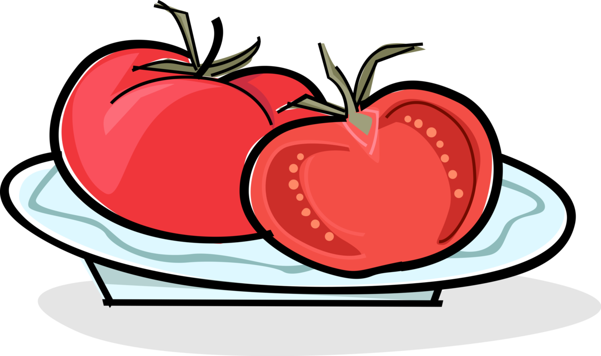Vector Illustration of Ripe Tomato Vegetables on Serving Plate