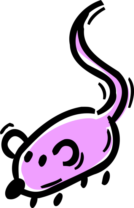 Vector Illustration of Rodent Mouse Animal