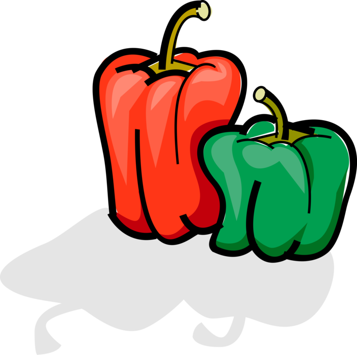 Vector Illustration of Bell Pepper Green and Red Sweet Capsicum Peppers