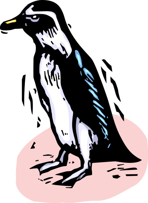 Vector Illustration of Southern Hemisphere Antarctic Polar Region Penguin Flightless Aquatic Bird