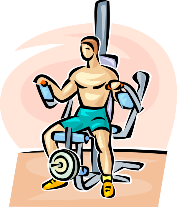 Vector Illustration of Fitness and Exercise Workout Strength-Training Equipment