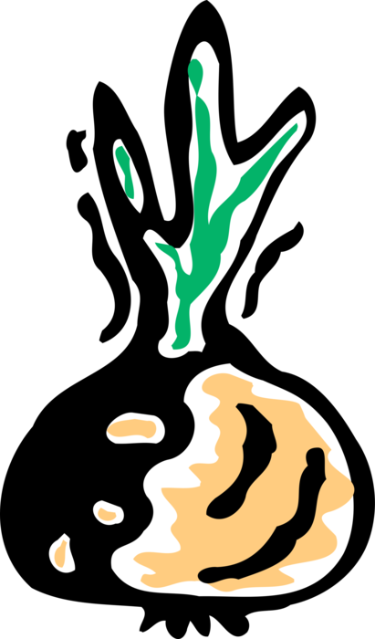 Vector Illustration of Turnip Root Vegetable