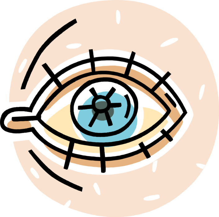 Vector Illustration of Human Eye Eyeball
