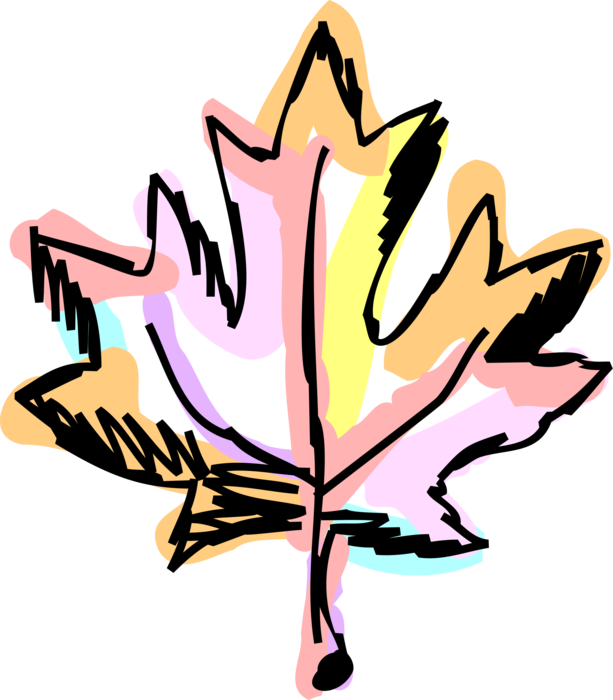 Vector Illustration of National Symbol of Canada Canadian Maple Leaf
