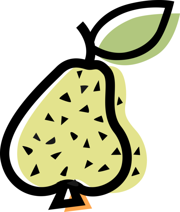 Vector Illustration of Pomaceous Edible Fruit Pear