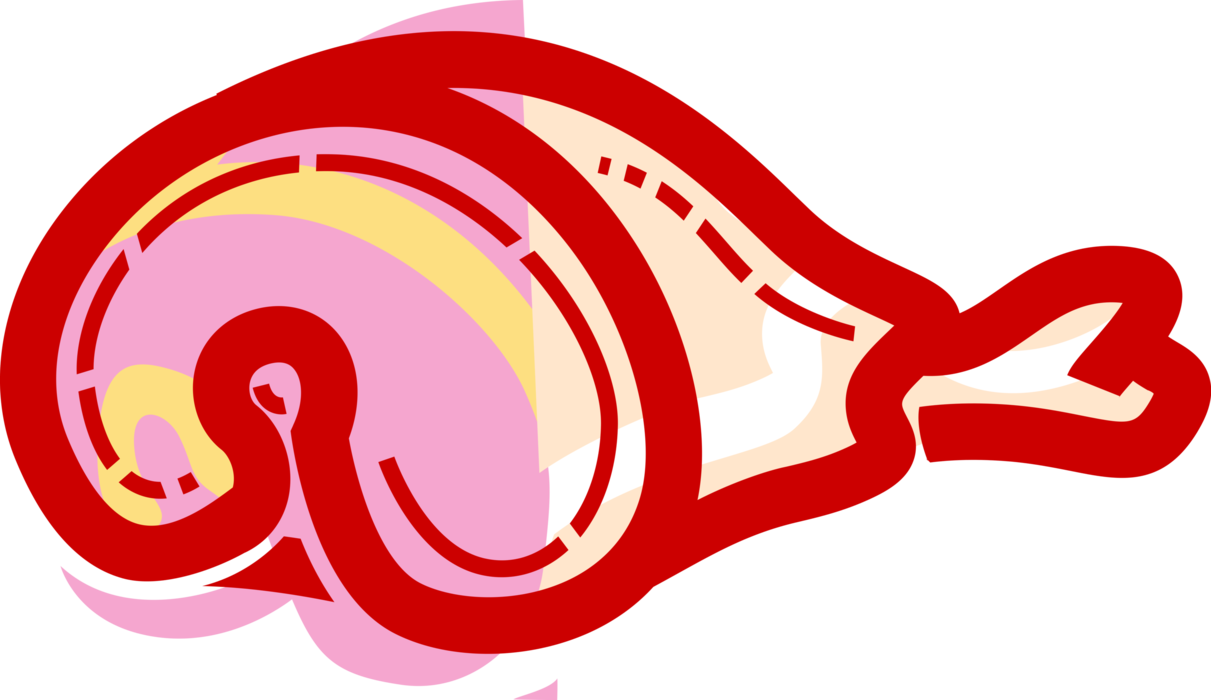 Vector Illustration of Fresh Leg of Pork Ham Meat