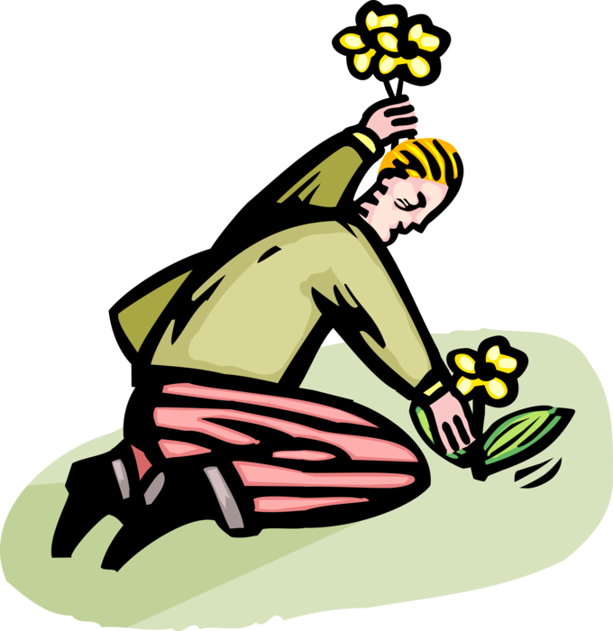 Vector Illustration of Lovelorn Loser Seeking Requited Love Picks Daisy Flowers for Romantic Encounter