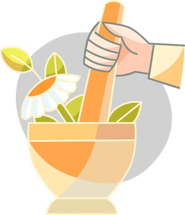 Vector Illustration of Pharmaceutical Industry Mortar and Pestle Prepare Organic Plant Ingredients to Create Prescription Medication Drugs