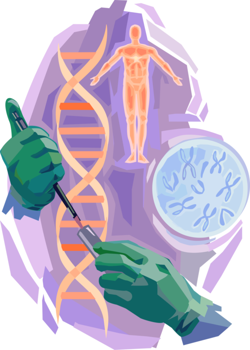 Vector Illustration of Genetic Engineering or DNA Modification Manipulates Organism's Genome Using Biotechnology