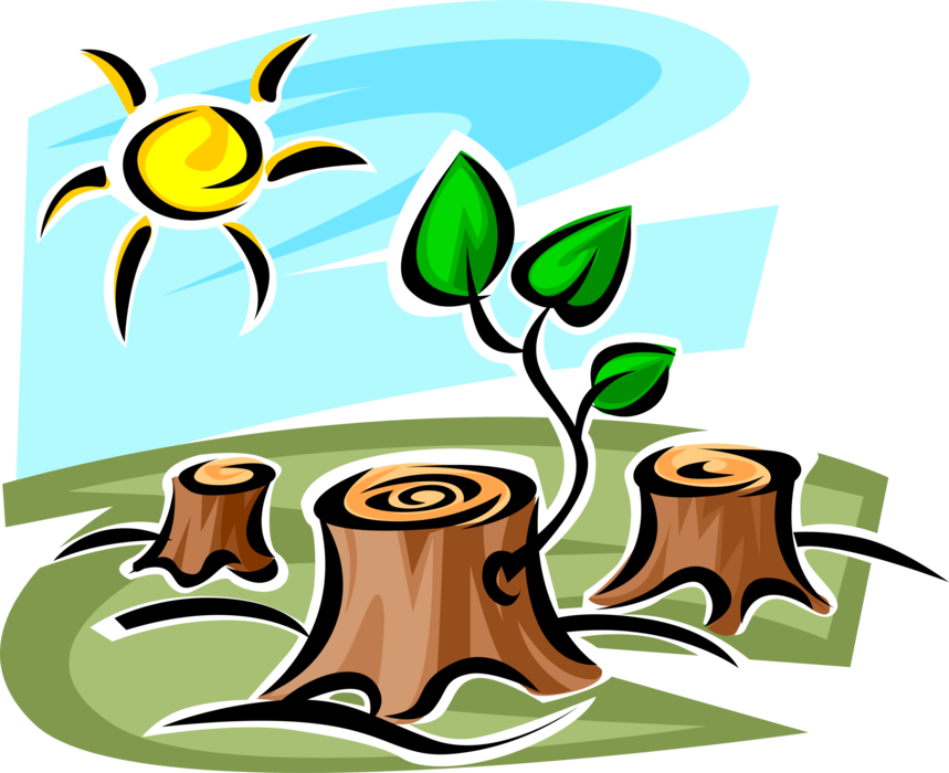 Vector Illustration of Forestry and Logging and Wood Processing Industry Clearcutting Deforestation with Tree Stumps