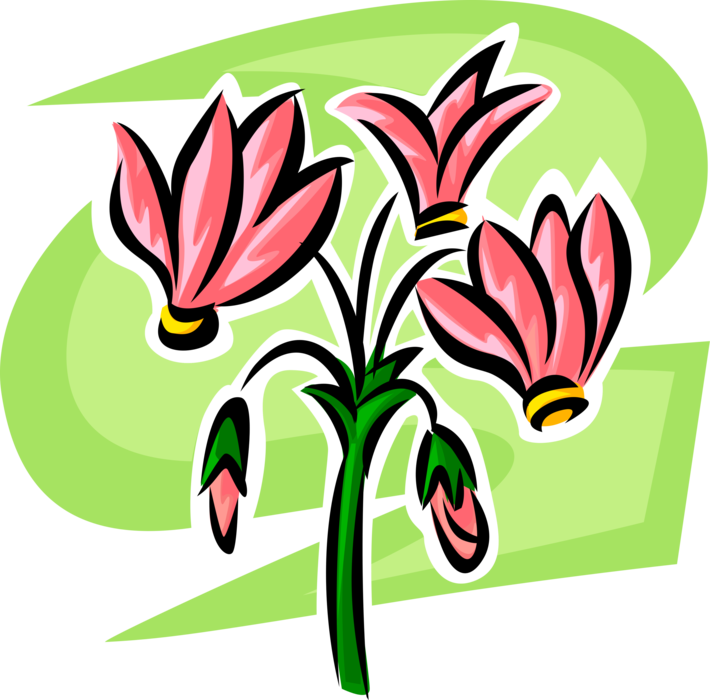 Vector Illustration of Botanical Flowering Plant Garden Flower Blossom