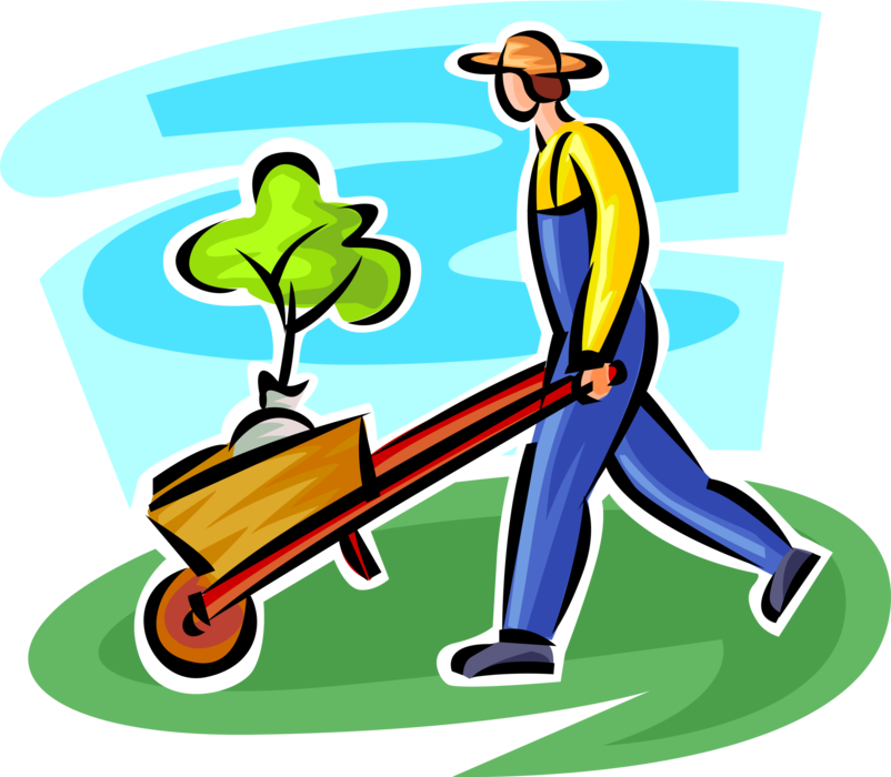 Vector Illustration of Gardener Pushes Wheelbarrow with Shrub Tree for Planting in Garden